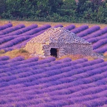 Entre Ventoux Et Luberon Chambre D'Hote Sault-de-Vaucluse Eksteriør bilde