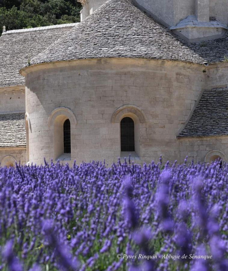 Entre Ventoux Et Luberon Chambre D'Hote Sault-de-Vaucluse Eksteriør bilde