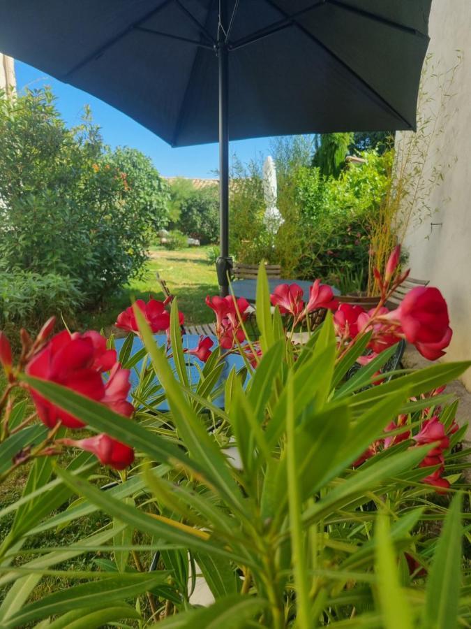 Entre Ventoux Et Luberon Chambre D'Hote Sault-de-Vaucluse Eksteriør bilde