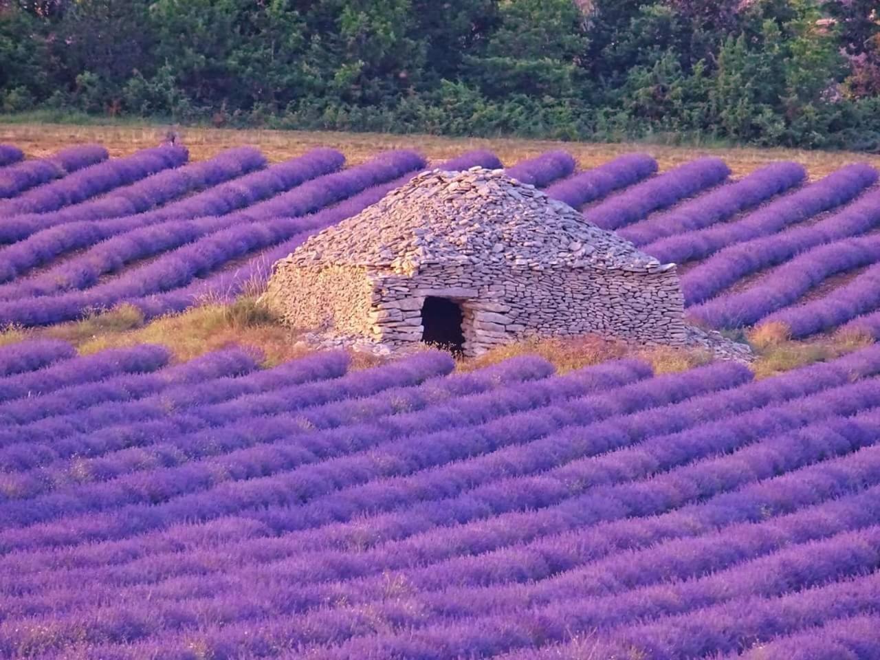 Entre Ventoux Et Luberon Chambre D'Hote Sault-de-Vaucluse Eksteriør bilde